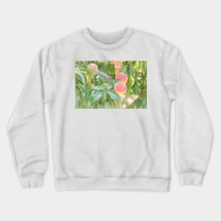 Ripe Summer Peaches in an Okanagan Orchard Crewneck Sweatshirt